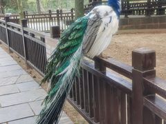 -鄱阳湖国家湿地公园