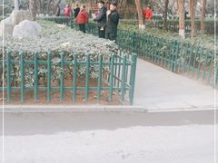 -西安市长乐公园