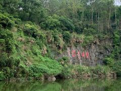 -水濂山森林公园