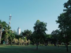 -万绿园