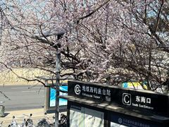 -裕龙汤泉