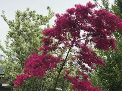 -白塘生态植物园