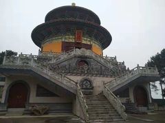 -铁山坪森林公园