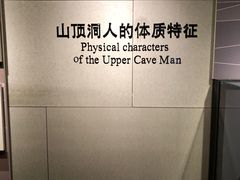 -北京周口店北京人遗址博物馆