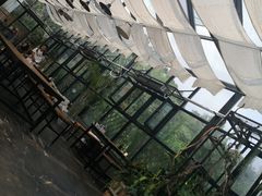 -北马山庄植趣咖啡