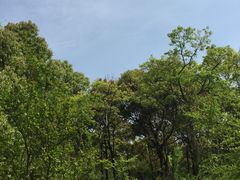 -新江湾城公园