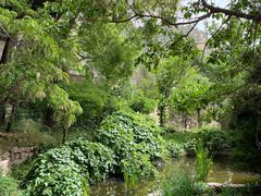 -云峰山自然风景区