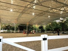 -上海东方佘山翰悦阁酒店·Vie全日制餐厅