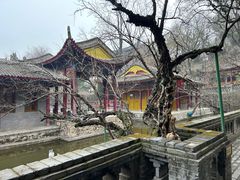 -华清宫景区