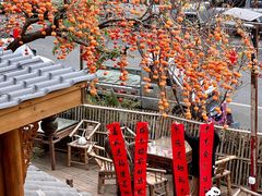 -田园印象·成都土菜院子(华阳店)