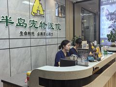 -半岛宠物医院24小时(西派城店)