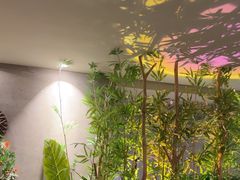 -施奈儿.洗头頭療.按摩SPA.采耳(上梅林店)