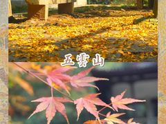 -西湖风景区十里琅珰-五云山