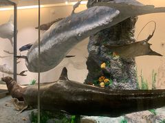 -南通博物苑-崇川人民公园