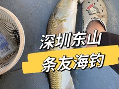 -东山码头