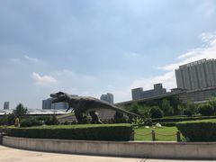 -陕西自然博物馆