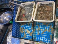 -开鑫鱼厂·宁波海鲜(前程智慧城店)