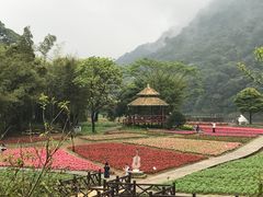 -广州市石门国家森林公园