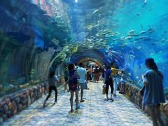 -华夏文旅海洋公园