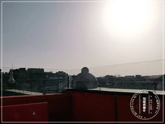 -国药中服免税(北京坊店)