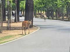 -秦皇岛野生动物园
