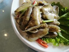 清炒蛏子-丰收日(五角场店)