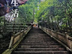 -都江堰普照寺