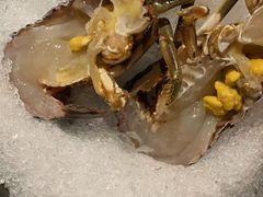 -揽季锅物会.福建黄鱼.海鲜姿造(五四路店)