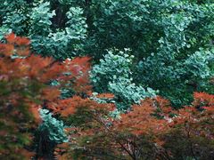 -石门洞景区
