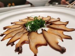 -柿合缘新京菜(国金中心商场店)