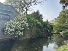 -水绘园