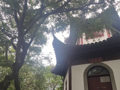 -上海佘山国家森林公园天马山园