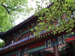 -灵谷景区