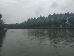 -艾溪湖湿地公园