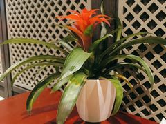 -丰收日(五角场店)