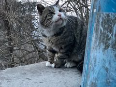 -武当山风景区
