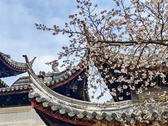 -苏州上方山国家森林公园