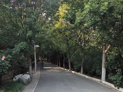 -永定河休闲森林公园