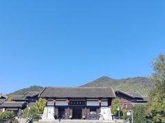 -大唐贡茶院