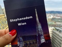 -斯蒂芬主教座堂(Stephansdom)
