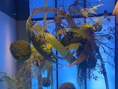 -渔舟意·湖南家宴(萝岗纳金城店)