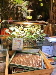 -酷嗒动物文化乐园(cutezoo西溪乐天城店)