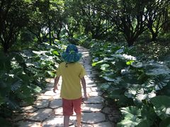 -美的鹭湖探索王国