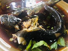 -三道苗苗鱼(三道堰老字号店)