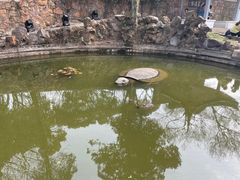 -无锡梅园公园