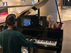 -厦门艾美酒店·乐美中餐厅