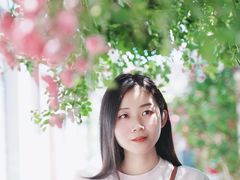 -北京国子监胡同