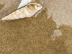 -阿弟特色海鲜餐厅·大排档(平潭店)