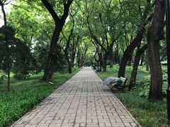 -玲珑塔公园