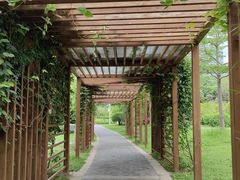 -福田红树林生态公园